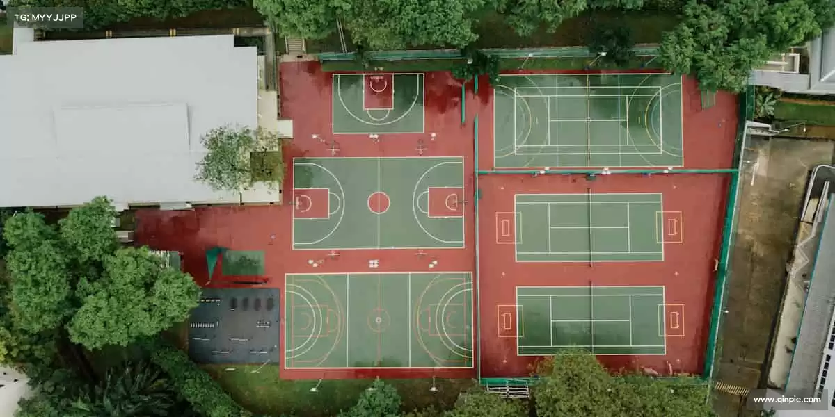 用代码点燃指尖冒险，让每个像素都跳动心跳！🚀